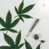 CELULOSA KING SIZE PRE-ROLLED 1.5g JOINTS HYDRO FLOWER CHOCOLATE - Image 4