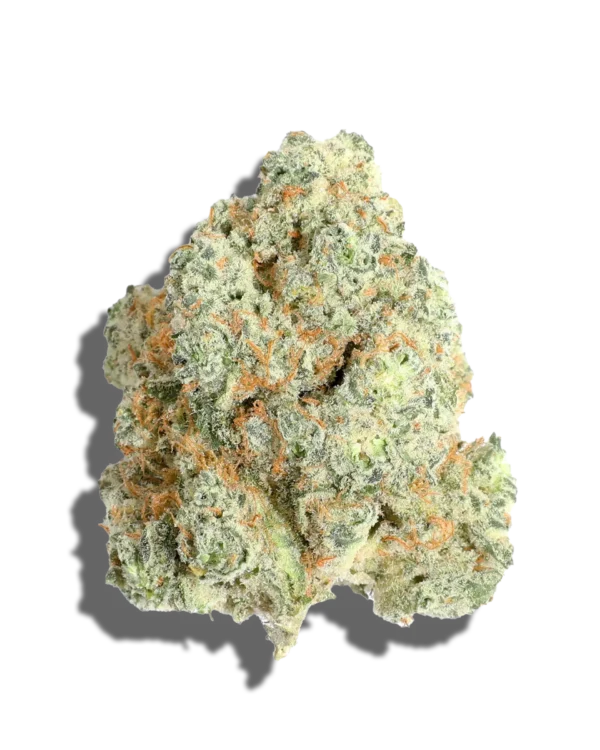 CELULOSA KING SIZE PRE-ROLLED 1.5g JOINTS HYDRO FLOWER WILD CHERRY - Image 2