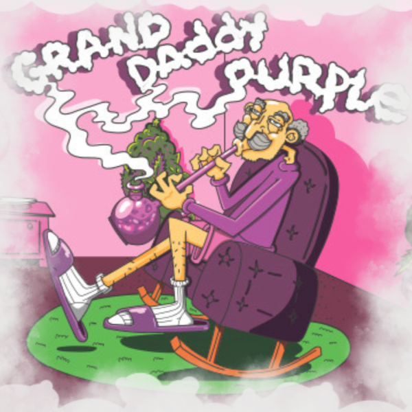 RAW 6 Pack 1¼ Size – Indoor Flower Grand Daddy Purple – Indica (6 x 1.0g) - Image 2