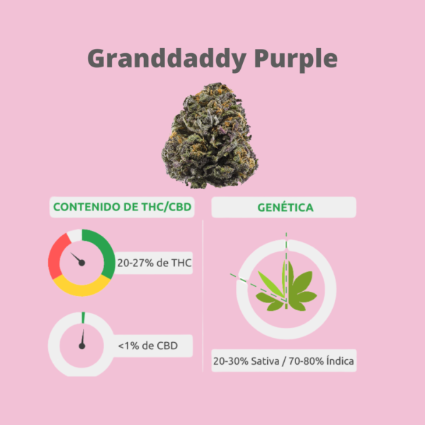 RAW 6 Pack 1¼ Size – Indoor Flower Grand Daddy Purple – Indica (6 x 1.0g) - Image 3
